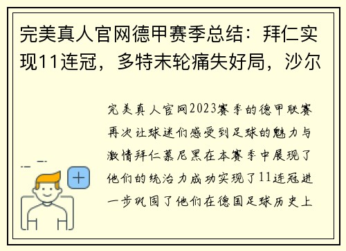 完美真人官网德甲赛季总结：拜仁实现11连冠，多特末轮痛失好局，沙尔克04的挣扎 - 副本