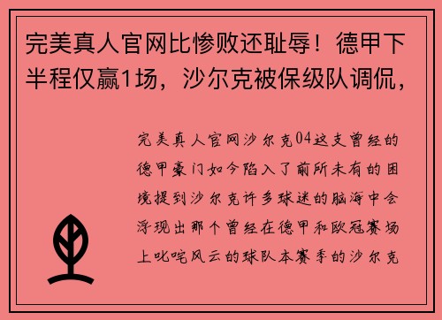 完美真人官网比惨败还耻辱！德甲下半程仅赢1场，沙尔克被保级队调侃，04成